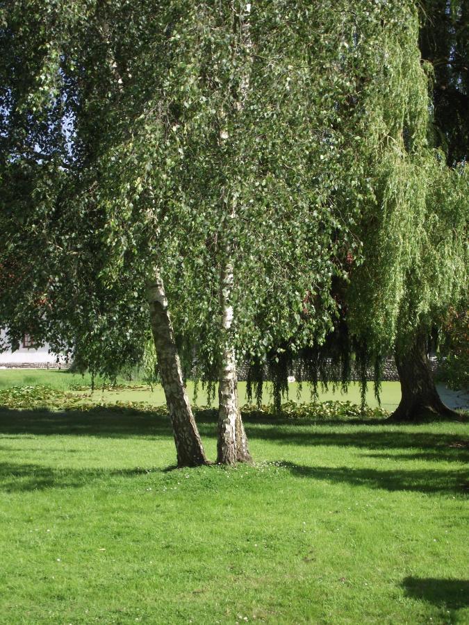 Les Portes Des Froises Saint Quentin en Tourmont Bagian luar foto